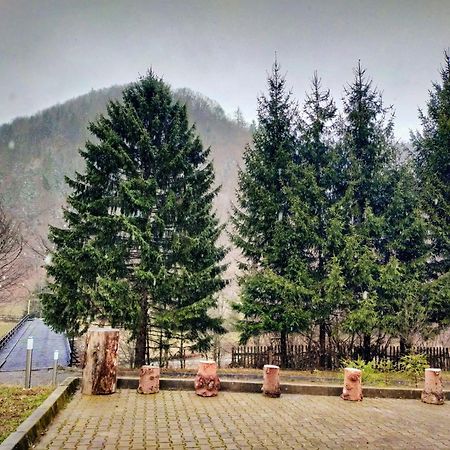 Villa & Spa 4Temporadas - Plaiul Foii Zărneşti Bagian luar foto