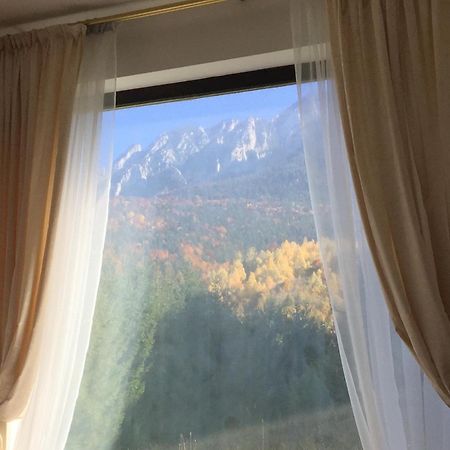 Villa & Spa 4Temporadas - Plaiul Foii Zărneşti Bagian luar foto