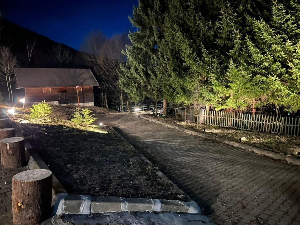 Villa & Spa 4Temporadas - Plaiul Foii Zărneşti Bagian luar foto