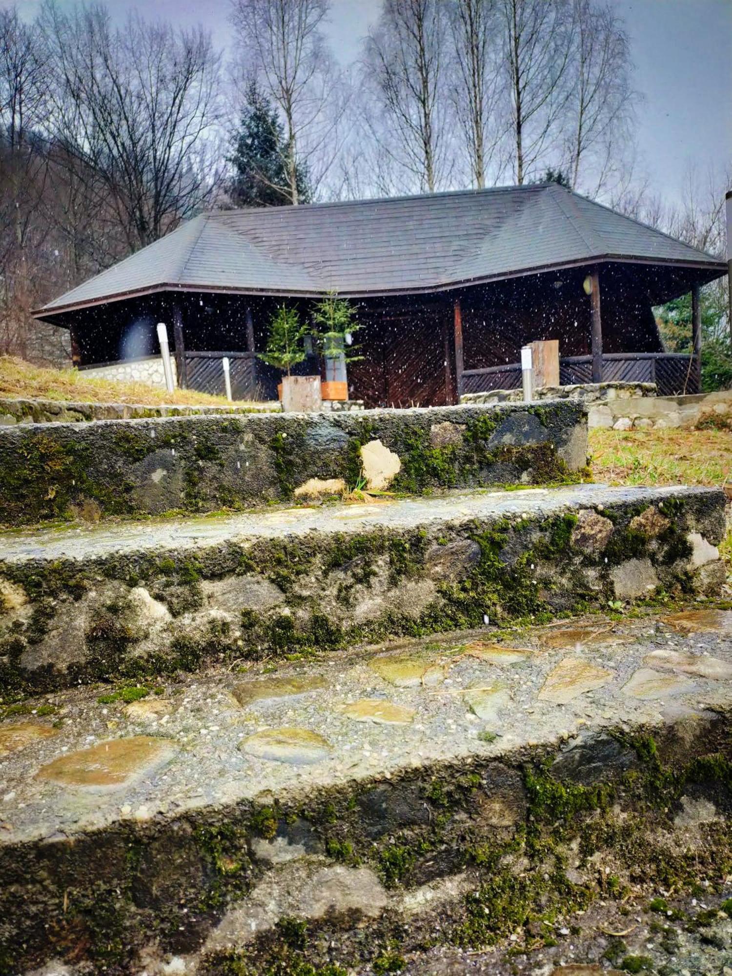 Villa & Spa 4Temporadas - Plaiul Foii Zărneşti Bagian luar foto