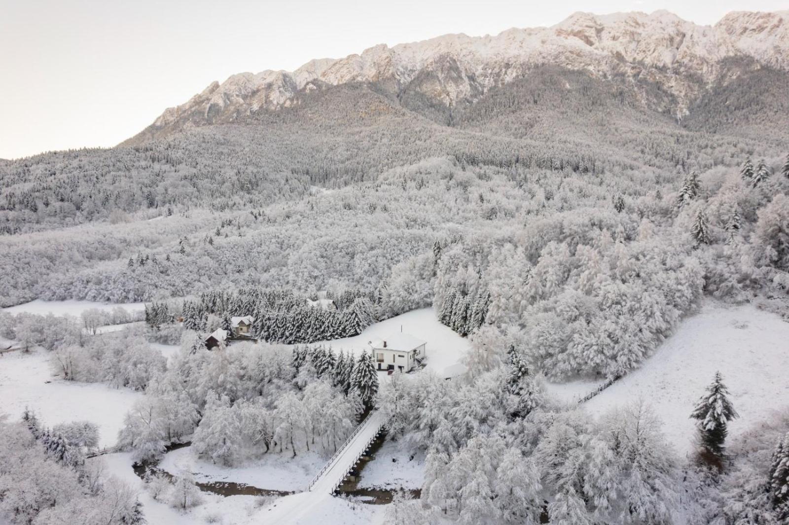 Villa & Spa 4Temporadas - Plaiul Foii Zărneşti Bagian luar foto